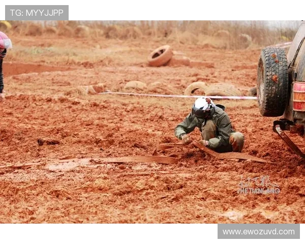 武汉排球队逆袭之旅特别报道展现拼搏精神与团队力量