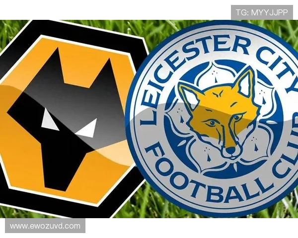 加的夫城与莱斯特城的激烈对决谁能在英超赛场上笑到最后