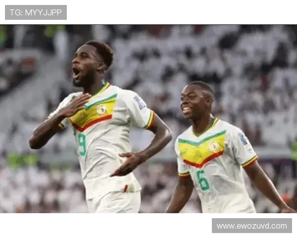 塞内加尔与厄瓜多尔足球对决分析及战术解析