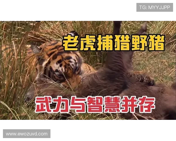 水蟒与美洲虎的生死对决谁将成为丛林之王的最终赢家